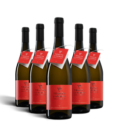 "14" SAUVIGNON BIANCO IGT VENETO - 6 BOTTIGLIE bergamovini