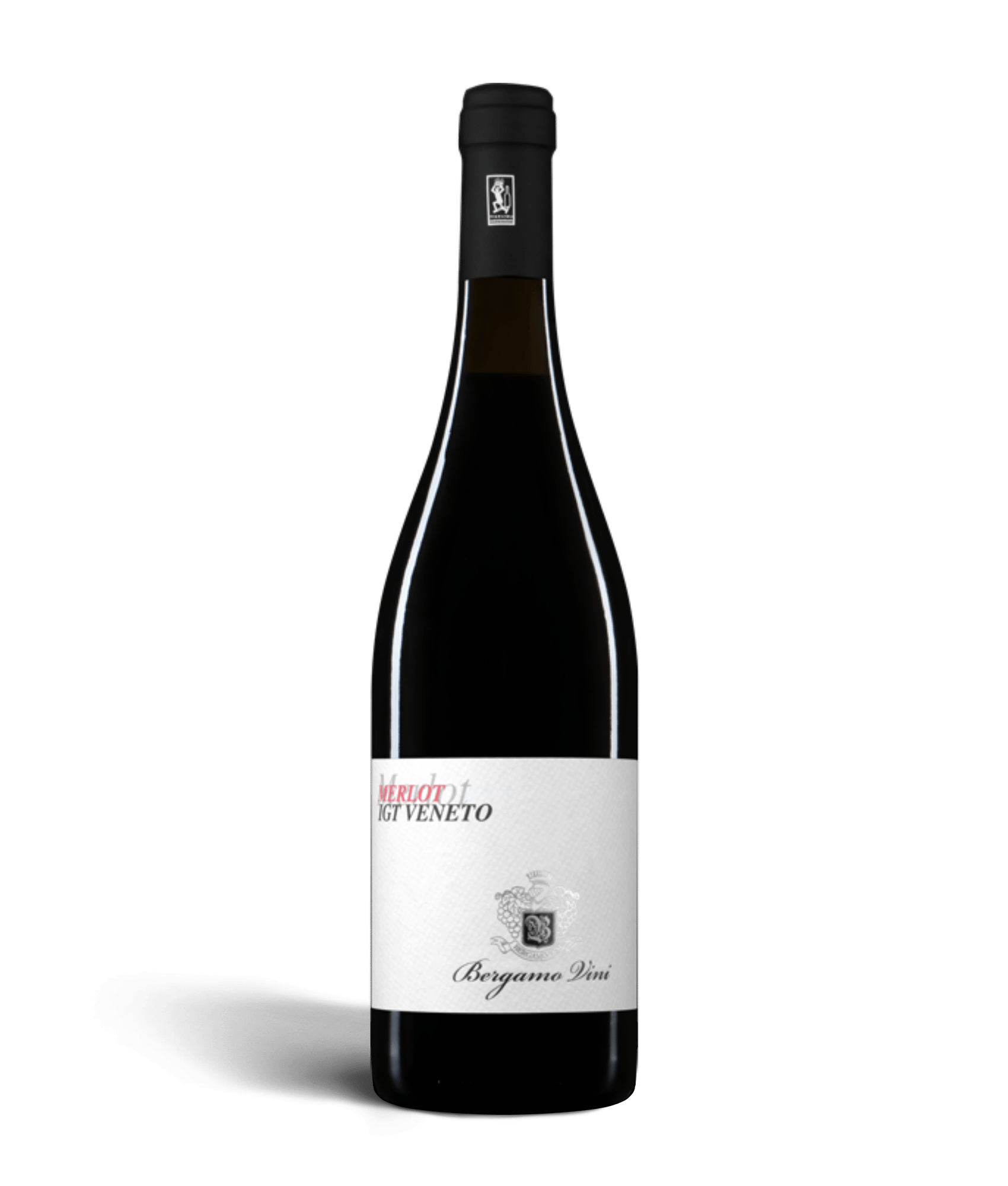 🎁 Merlot  IGT VENETO - 750 ML (100% off) bergamovini